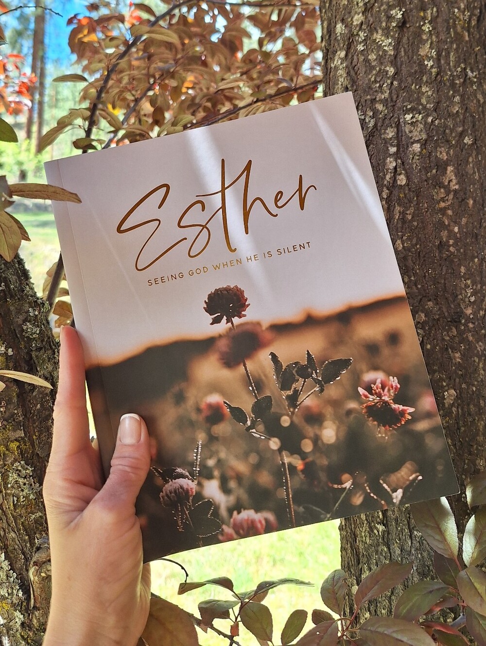 The Daily Grace Co. Esther - Seeing God When He Is Silent (Floral Cover)